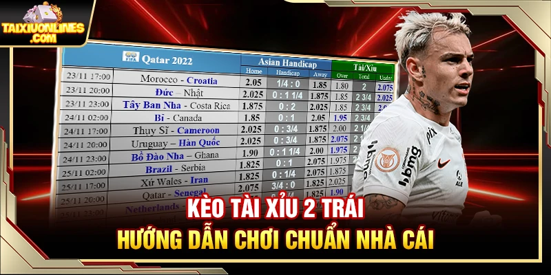 Kèo Tài Xỉu 2 Trái - Hướng Dẫn Chơi Chuẩn Nhà Cái