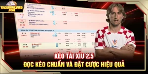 Kèo Tài Xỉu 2.5 - Đọc Kèo Chuẩn Và Đặt Cược Hiệu Quả