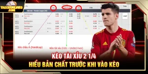 Kèo Tài Xỉu 2 1 4 – Hiểu Bản Chất Trước Khi Vào Kèo