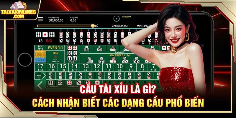 Cầu Tài Xỉu Là Gì? Cách Nhận Biết Các Dạng Cầu Phổ Biến