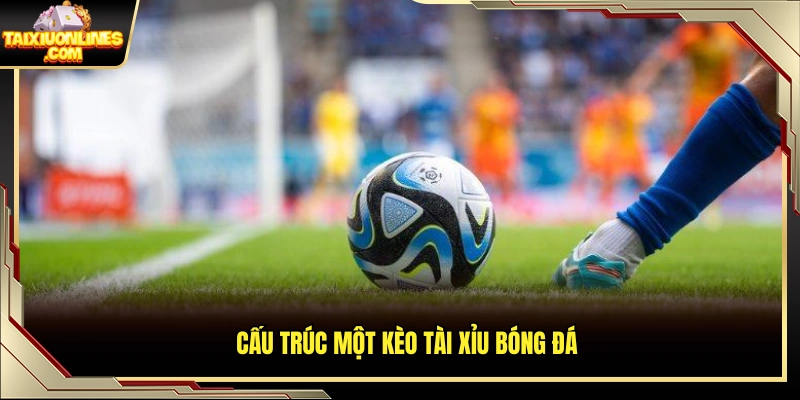 Cách sắp xếp và hiển thị kèo tài xỉu