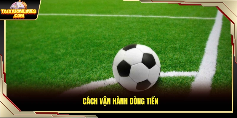 Cơ chế phân bổ tiền cược