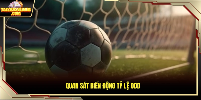 Theo dõi sự thay đổi của mức odds trước giờ bóng lăn