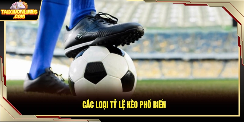 Những mức kèo thường gặp trên thị trường